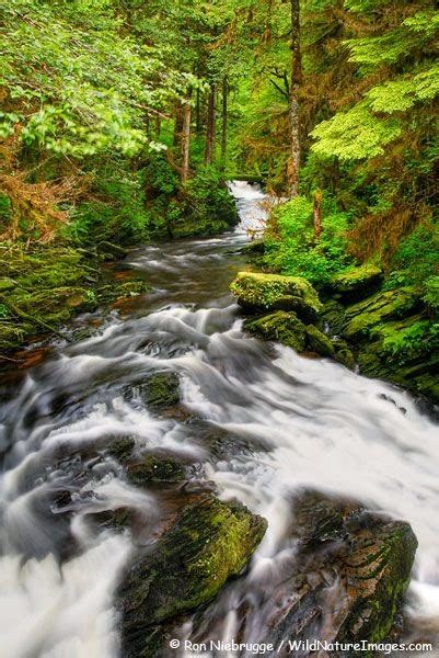 Tongass National Forest, United States