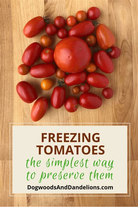 Freezing Tomatoes-The simplest way to preserve tomatoes – Dogwoods & Dandelions