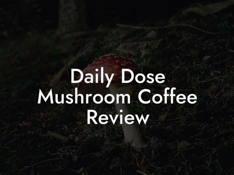 Daily Dose Mushroom Coffee Review - Mr Mushroom