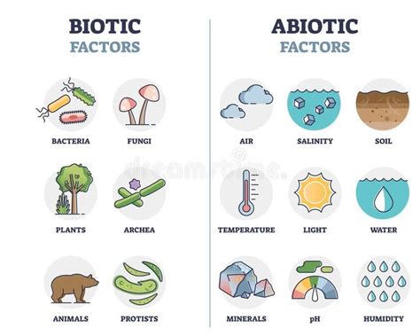 Biotic and abiotic factors as biological elements division outline ...