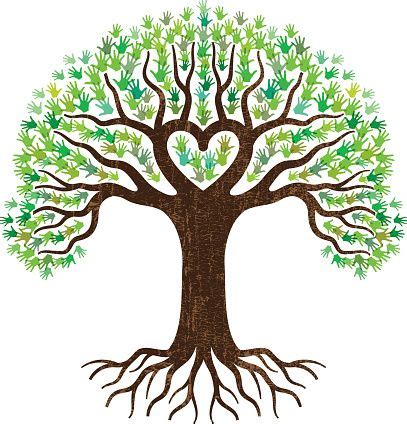 Clip Art Tree Root | PNG-clipart