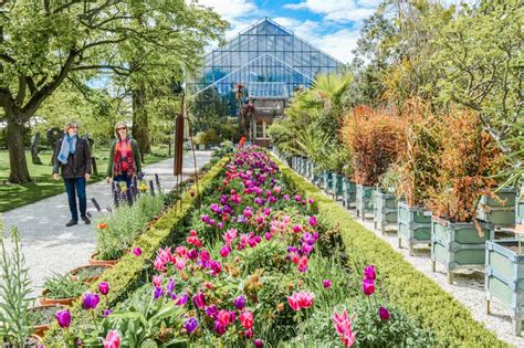 18 Photos that Prove Leiden is One of the Prettiest Cities in Europe ...