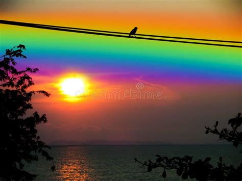 102,255 Rainbow Sky Stock Photos - Free & Royalty-Free Stock Photos ...