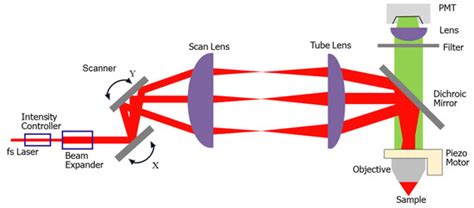 Micromachines | Free Full-Text | MEMS Enabled Miniature Two-Photon ...