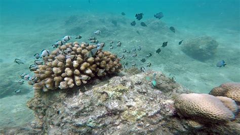 The Best Free Snorkeling in Phuket, Thailand - Vagabond Disposition