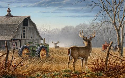 Whitetail Deer Wallpaper Hd