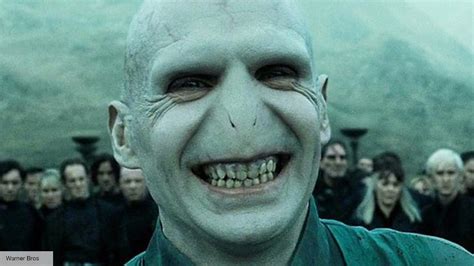 Voldemort actor Ralph Fiennes will happily do more Harry Potter movies