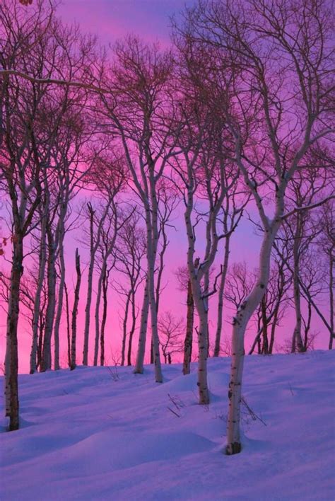 Le paysage d'hiver en 80 images magnifiques! - Archzine.fr | Paysage hiver