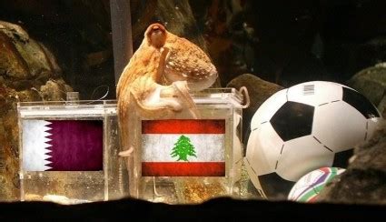 LIVE Pictures from Lebanon vs. Qatar | Blog Baladi