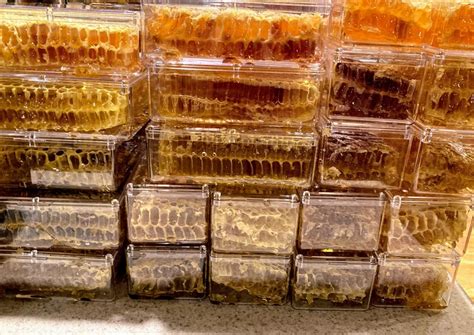 Raw honeycomb. Raw honey comb filled with pure honey real | Etsy