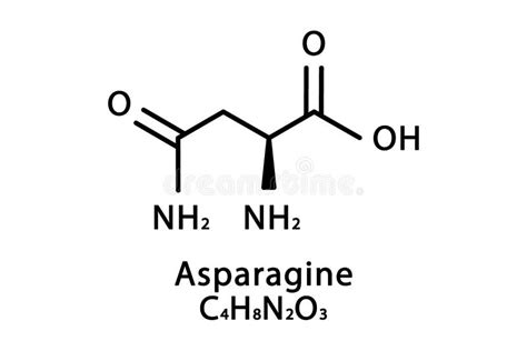 Asparagine Molecular Structure. Asparagine Skeletal Chemical Formula ...