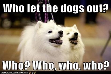 Who let the dogs out? | Who Let the Dogs Out? | Know Your Meme