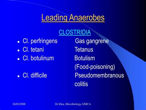 PPT - ANAEROBES PowerPoint Presentation, free download - ID:4280623