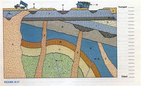 Law of superposition fossils | Lousiana