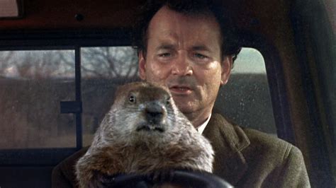 Groundhog Day Movies - The New York Times