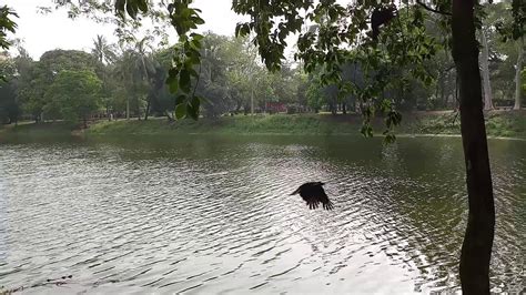 Ramna park lake part 02 - YouTube