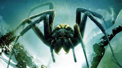 Giant Spider Wallpapers - Top Free Giant Spider Backgrounds - WallpaperAccess