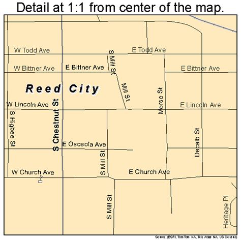 Reed City Michigan Street Map 2667820