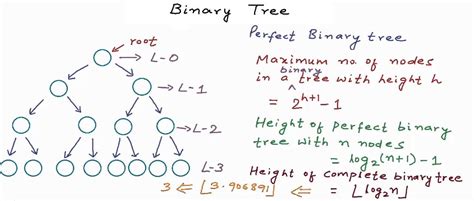 Data structures: Binary Tree - YouTube