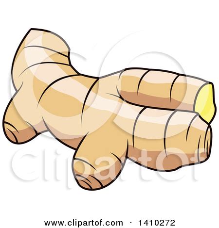 Ginger root clipart - Clipground