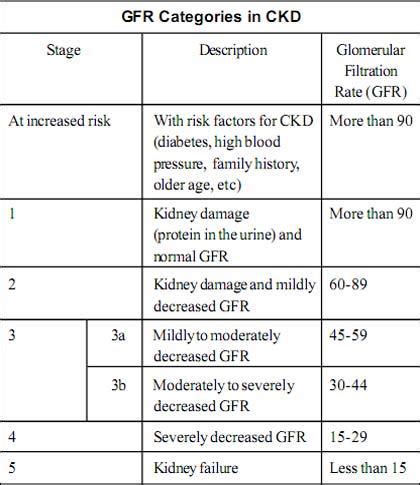 Chronic Kidney Disease: Symptoms and Diagnosis — Vikaspedia