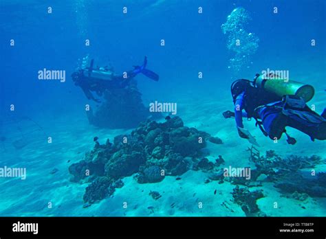 SCUBA diving and Underwater marine life, Lakshadweep, India Stock Photo ...