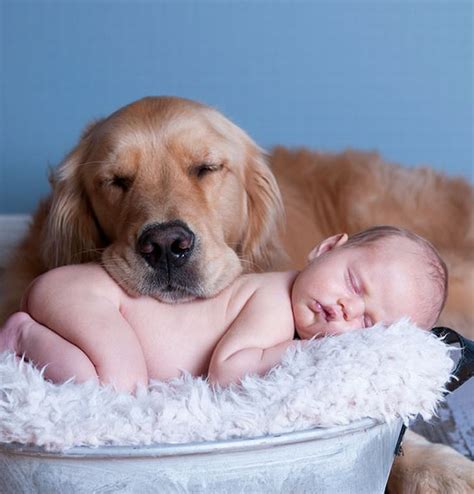 20 Adorable Photos of Kids and Their Dogs