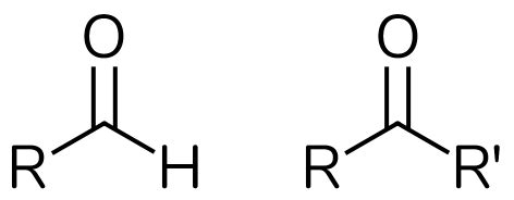 Functional Groups for Health and Bio Majors - Chemistry Help Center