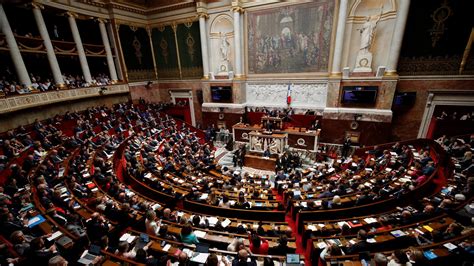 Bioethics law to be discussed in French Senate - IFN