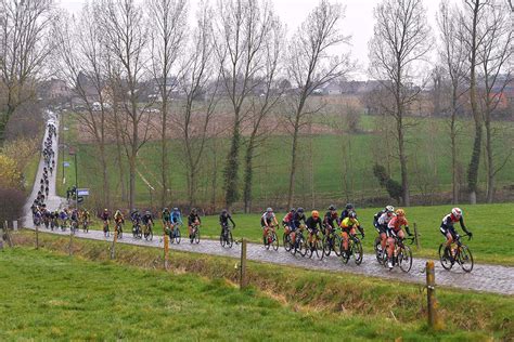 Cycling race footage highlights climate change effects on trees | New Scientist