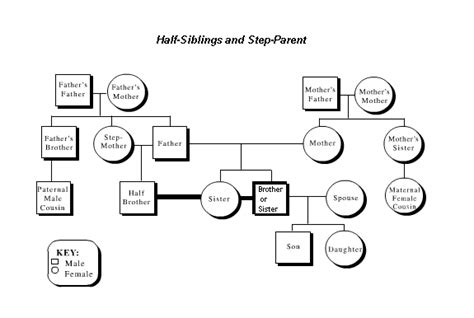 Family Tree Template: Family Tree Template With Divorced Parents