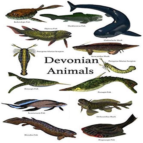 Devonian Period Animals