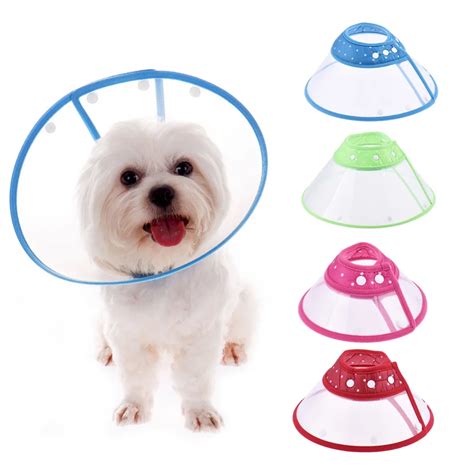 Aliexpress.com : Buy Recovery Pets Cone Collar Dog Pet Elizabethan ...