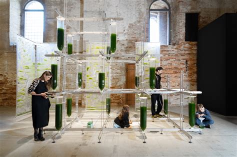 BIT.BIO.BOT: A prototype dwelling and collective experiment in biotech ...