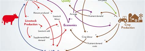 What is a Causal Loop Diagram and What is it Good For? | Marketlinks