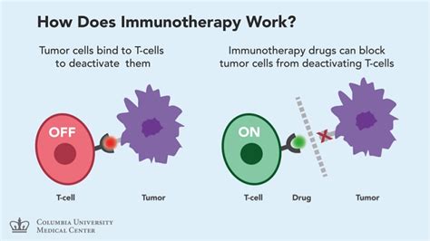 FDA-approved Immunotherapy for Melanoma | Biopharma PEG