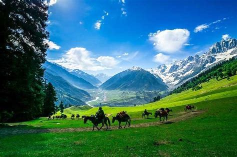 Best Time To Visit Sonamarg > Weather, Temperature & Season