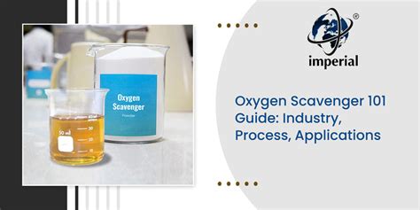 Oxygen Scavenger 101 Guide: Industry, Process, Applications