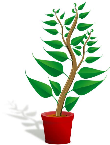 getting to know plants - Clip Art Library