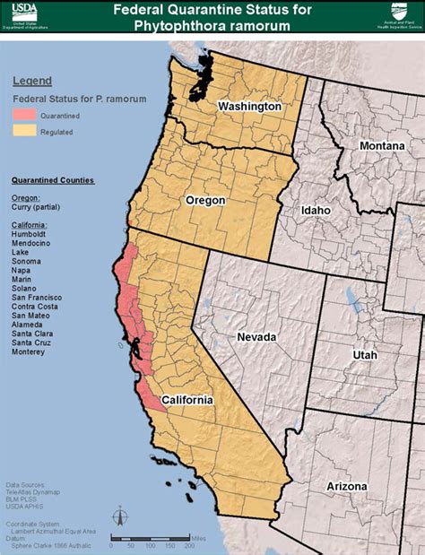 Traveling Small with a Nucleus: California’s Giant Coastal Forests Face a Formidable Foe