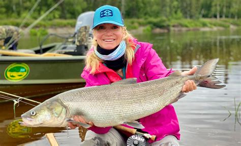 Sheefish at Alaskan Adventures - Fish Alaska Magazine