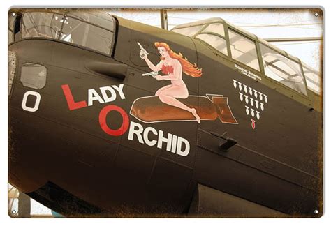 Lady Orchid WWII Aircraft Nose Art Pinup Girl 18 x 12 Metal | Etsy