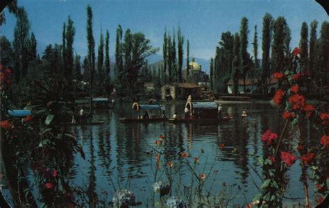 Xochimilco, Landscape with Flowers Mexico Postcard