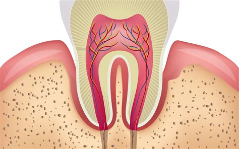 Dental Attrition vs. Abrasion - Harrisburg, PA