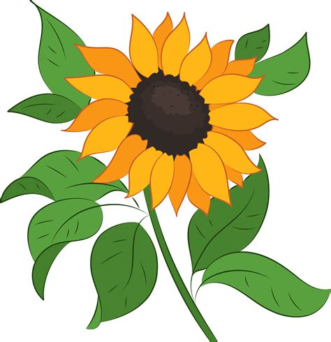 Sunflower Clipart Images