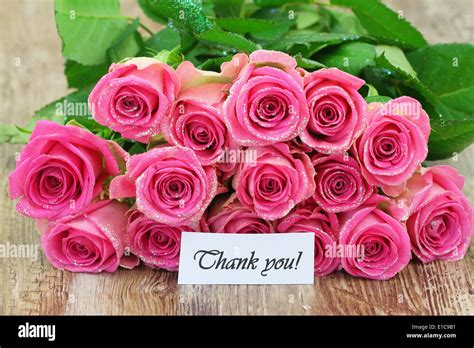 Thank you card with pink roses Stock Photo: 69726917 - Alamy