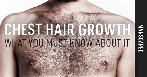 Chest Hair Growth and What You Must Know About It | MANSCAPED.COM