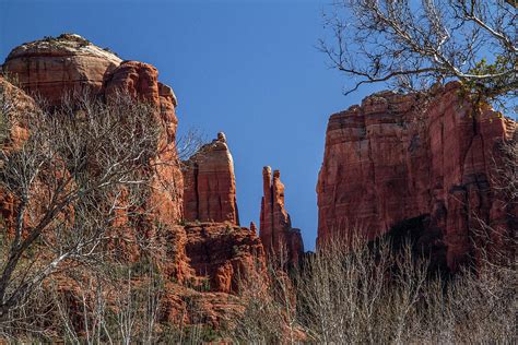 Cathedral Rock View Photograph by Roger Mullenhour - Fine Art America