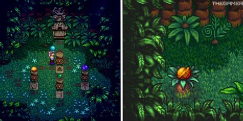 Cómo encontrar cada nuez dorada en Stardew Valley – Guías y Juegos