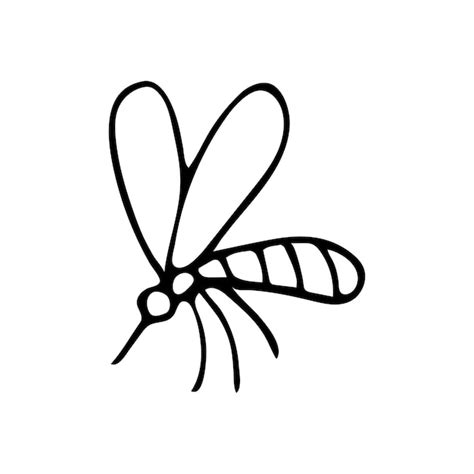 Premium Vector | Hand drawn doodle mosquito Vector insect clipart Outline